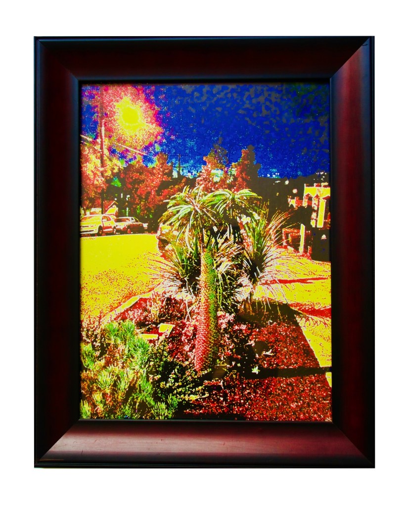 “Cali Nite” 
By Pascale Lanfranchi                                                                                                     Photo Expressionism                                                      (20”x16”) (51 x 40,5cm)
