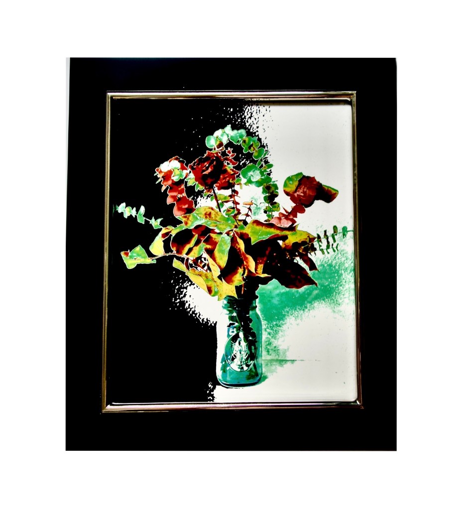 "Rebirth" 
By Pascale Lanfranchi
Photo Expressionism                                                                                                                                (10.5”x12.5”) (26,5 x 31,75cm)