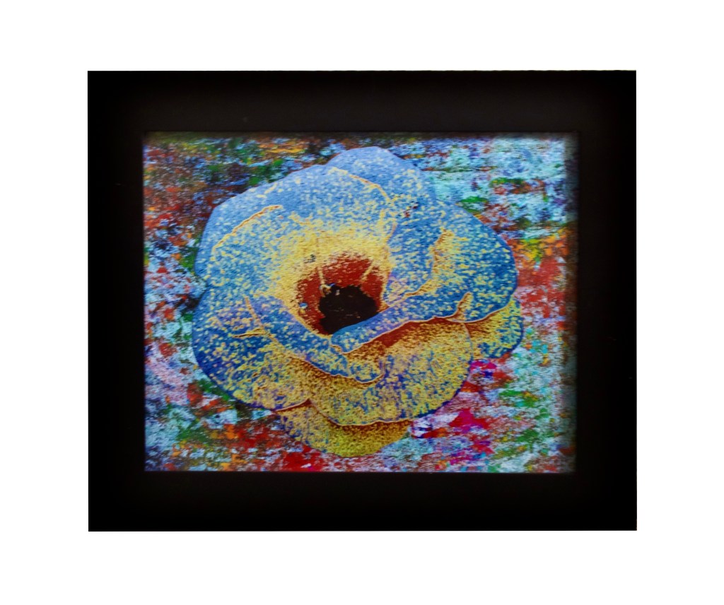 “Floating Flower”                                                                By Pascale Lanfranchi                                                                                            (12.25”x10.25”) (31 x 26cm)